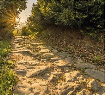 Cerca il tuo cammino
