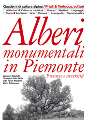 Alberi monumentali in Piemonte